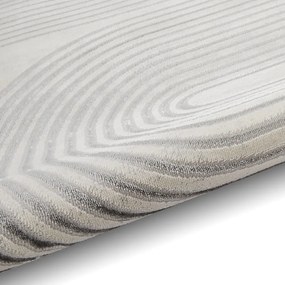 Sivý/béžový koberec 220x160 cm Apollo - Think Rugs