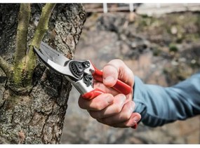 Extol Premium - Záhradné nožnice 215 mm