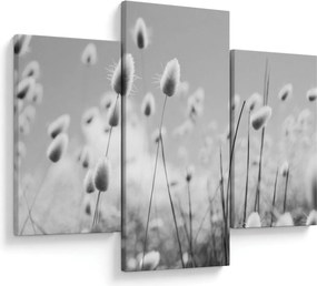 Obraz - Boho bunny tail grass (90x60 cm)