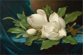 Obraz - Martin Johnson Heade, Giant Magnolias on a Blue Velvet Cloth, reprodukcia (90x60 cm)