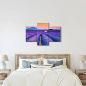 Obraz - Levanduľové pole (90x60 cm)