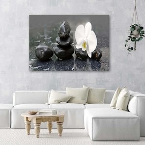 Obraz na plátně Orchid Stone Zen Spa - 100x70 cm