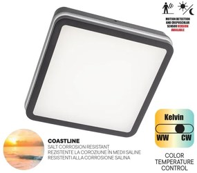 Redo 90292 - LED Vonkajšie stropné svietidlo so senzorom ISOLA LED/24W/230V IP54