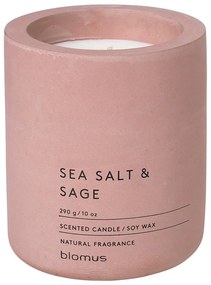 Vonná sójová sviečka doba horenia 55 h Fraga: Sea Salt and Sage – Blomus