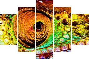 Obraz - Chameleon (150x105 cm)