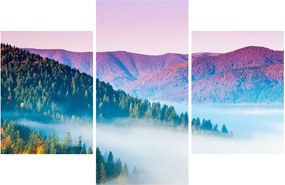 Obraz - Panorama 2 (90x60 cm)