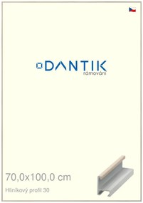 DANTIK rám na obraz 70x100 | ALU Dýha slovnová kost (Plexi Čiré)