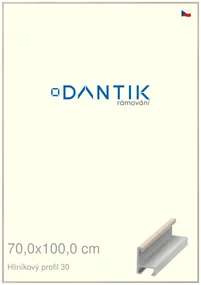 DANTIK rám na obraz 70x100 | ALU Dýha slovnová kost (Plexi Čiré)