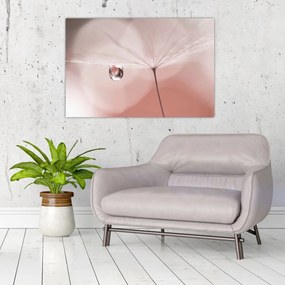 Obraz - Kvapka rosy (90x60 cm)
