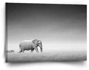 Sablio Obraz Slon a zebra - 90x60 cm