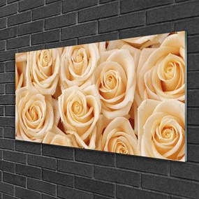 Obraz na skle Ruže kvety rastlina 140x70 cm