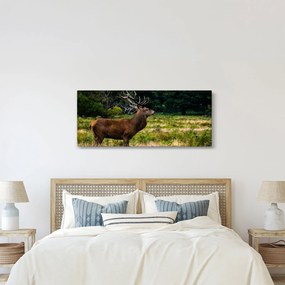 Obraz jeleňa (120x50 cm)