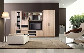 Obývacia stena Delhi, dub sonoma/wenge
