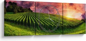 Obraz vinice s farebným nebom (s hodinami) (90x30 cm)