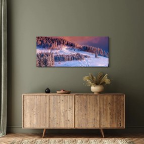 Obraz zimnej krajiny (120x50 cm)