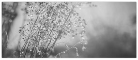 Obraz - Lúka po daždi (120x50 cm)