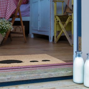 Rohožka z kokosového vlákna 40x60 cm Hedgehog Family – Artsy Doormats