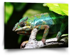 Sablio Obraz Chameleón - 90x60 cm
