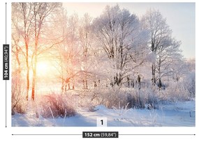 Fototapeta Vliesová Zimné stromy 104x70 cm