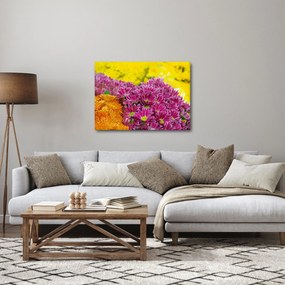 Obraz ružového kvetu (70x50 cm)