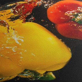 Obraz - papriky vo vode (70x50 cm)