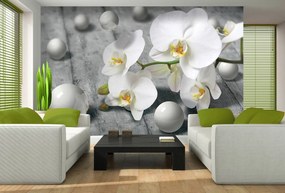 Fototapeta - Biela orchidea (254x184 cm)
