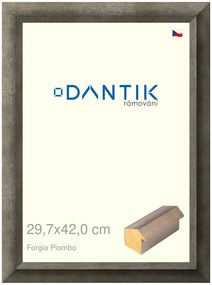 DANTIK rám na obraz 29,7x42 | Forgia Piombo (Plexi Čiré)