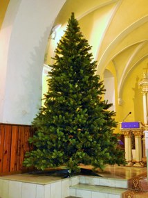 Vianočný stromček Rocky 300cm