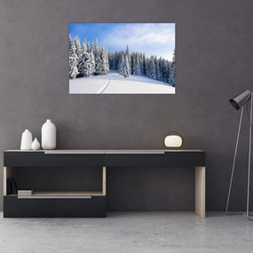 Obraz - Zima v lesoch (90x60 cm)