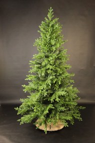Smrek Tirolský 3D- 260cm