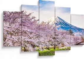 Obraz - Japonsko na jar (150x105 cm)