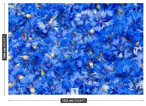 Fototapeta Vliesová Modré nevädze 152x104 cm