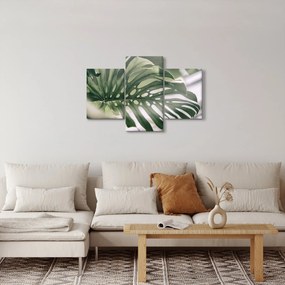 Obraz - List monštier (90x60 cm)