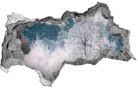 Diera 3D v stene nálepka Stromy v zime nd-b-142936706