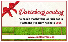Darčeková poukážka v hodnote 200€