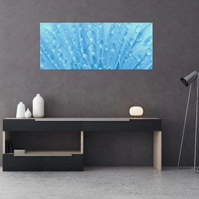 Obraz - Makro záber kvetu (120x50 cm)