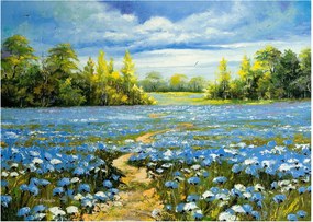 Sklenený obraz - Cestička v poli, olejomaľba (70x50 cm)