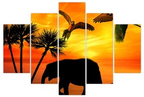 Obraz - papagáje a slony (150x105 cm)