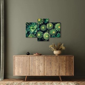 Obraz - Kaktusy (90x60 cm)