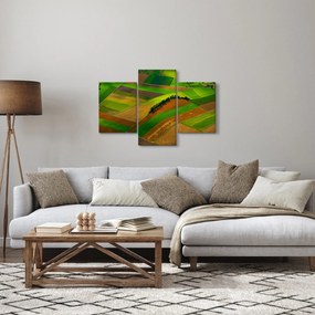 Obraz - Polia, lúky (90x60 cm)