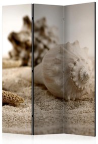 Artgeist Paraván - Beach and shell [Room Dividers]