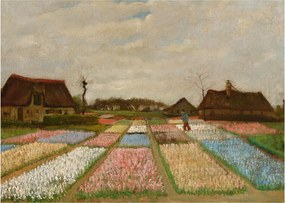 Obraz - Vincent van Gogh, Flower Beds in Holland, reprodukcia (70x50 cm)