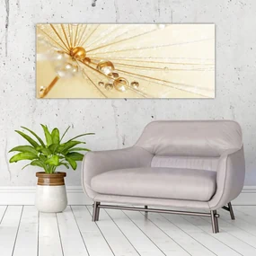 Obraz - Makro fotografie púpavy (120x50 cm)