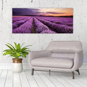 Obraz - Levanduľové pole pri západe slnka (120x50 cm)