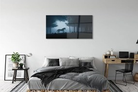 Obraz na akrylátovom skle Las noc jednorožec 125x50 cm