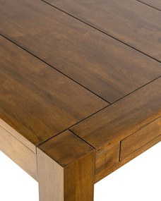Skladací stôl Magnus II 190/290 x 100 x 76 cm