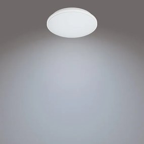 Philips - LED Stmievateľné stropné svietidlo WINCEL LED/24W/230V 2700-6500K + DO