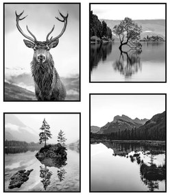 Obrazy v súprave 4 ks 30x40 cm Wild