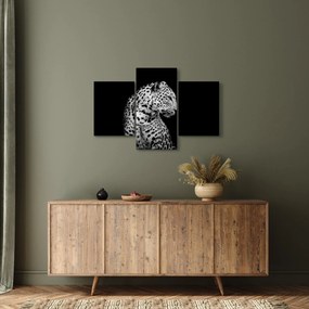 Obraz - Leopard (90x60 cm)