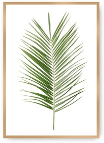 Plagát Palm Leaf Green